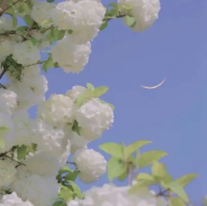 德学院-最专业的华人德州扑克学习与策略分享社区